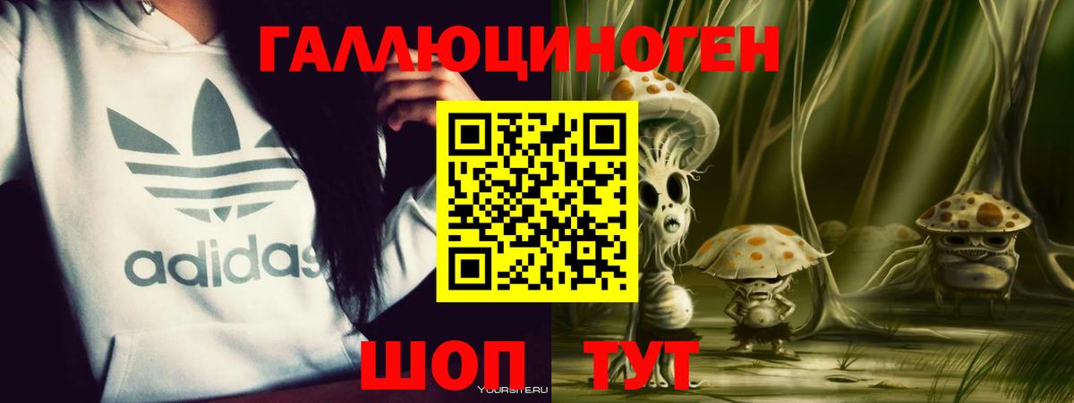 Псилоцибиновые грибы Psilocybe Казань